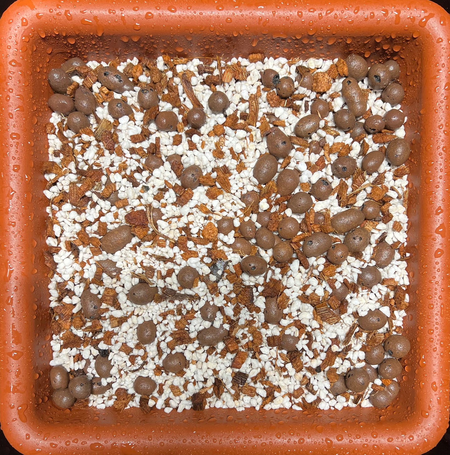 HiGrow® Aroid AirLite Forest Blend – Ultra-Aerated Premium Mix for Aroids