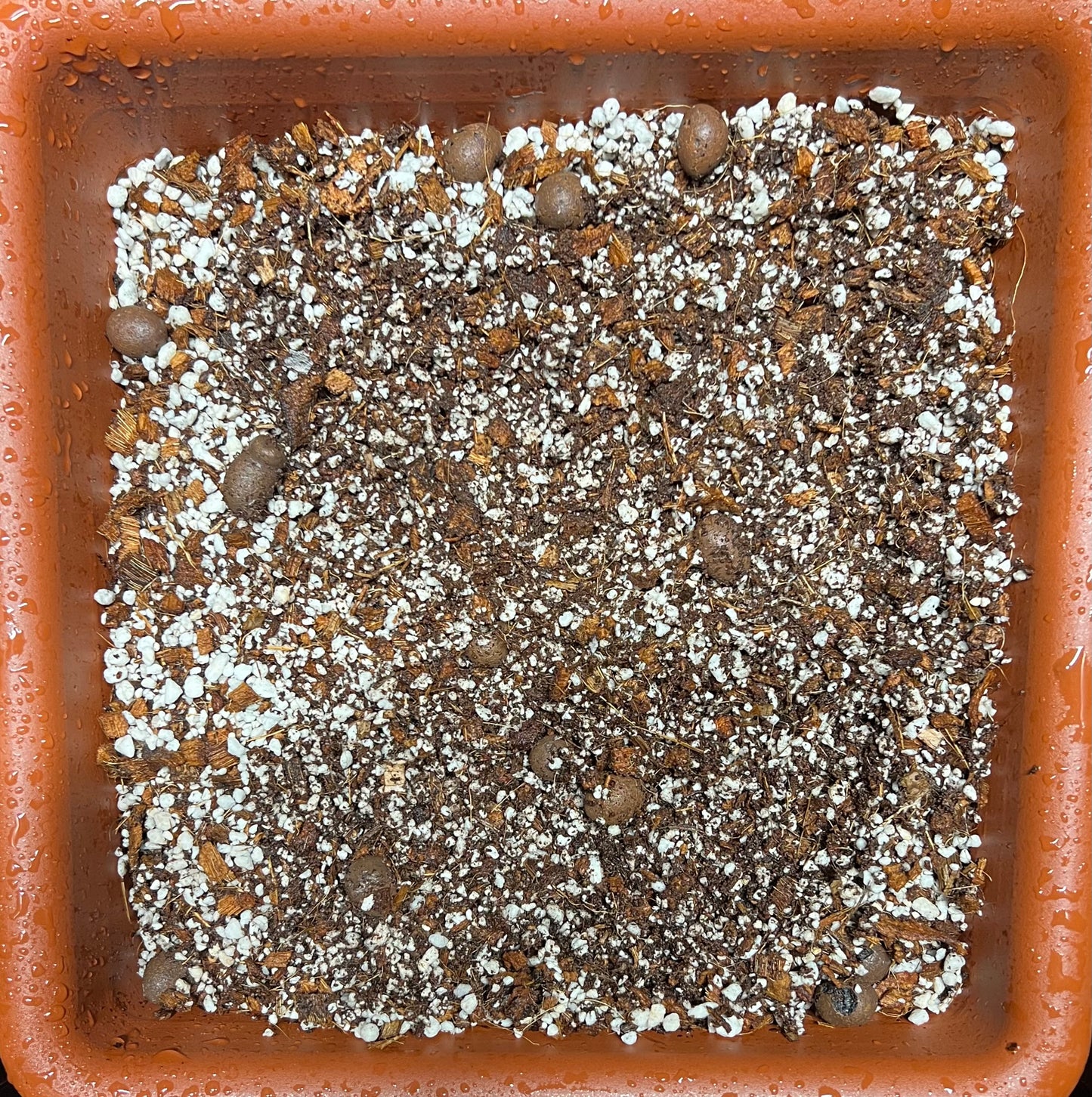 HiGrow® Aroid AquaMax Tropic Blend – Moisture-Retentive Aroid Mix