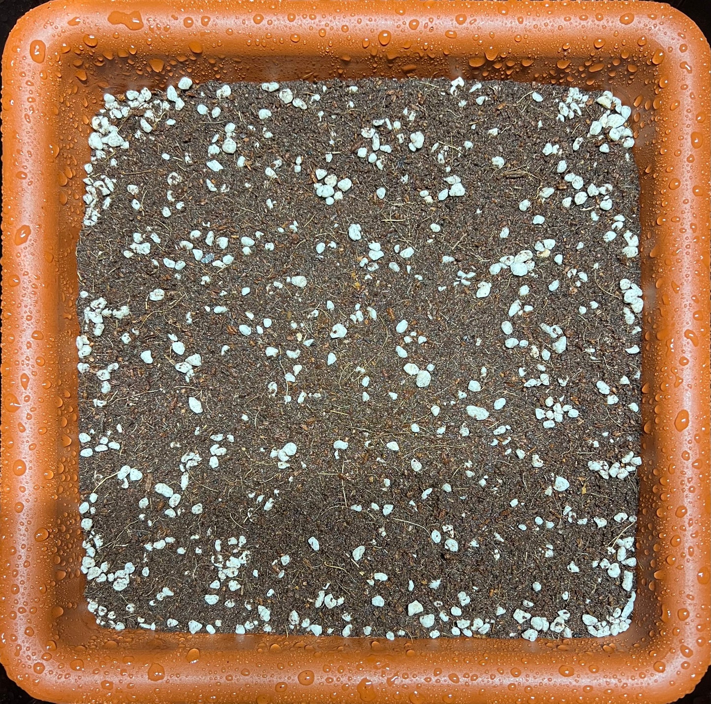 HiGrow® CocoPerla™ Blend – Buffered Coco & Coarse Perlite for Strong, Aerated Growth