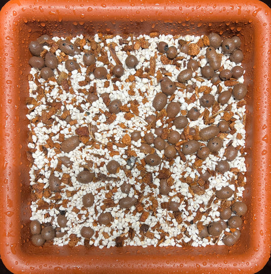 HiGrow® Aroid AirLite Forest Blend – Ultra-Aerated Premium Mix for Aroids