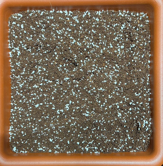 HiGrow® RootStart™ Propagation Blend – Buffered Coco & Fine Perlite Starter