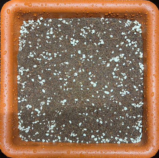 HiGrow® CocoPerla™ Blend – Buffered Coco & Coarse Perlite for Strong, Aerated Growth
