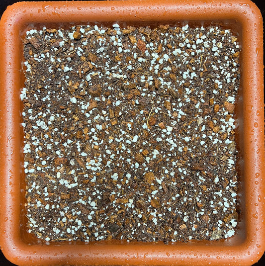 HiGrow® FernFriend™ Moisture Blend – Humid-Loving, Root-Safe Moisture