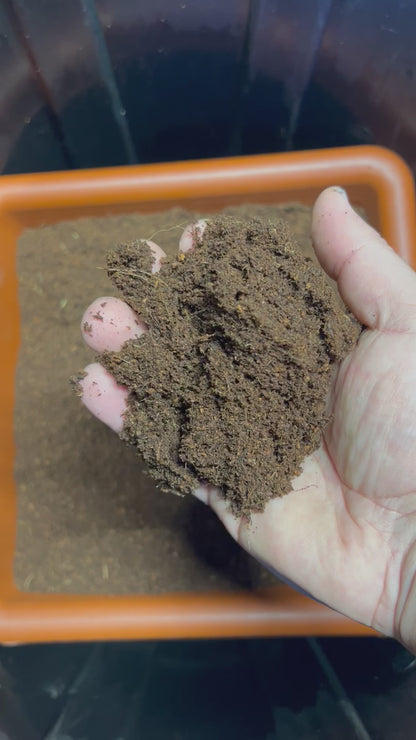 HiGrow® HydroCoco – 100% Premium Buffered fine Coco Coir